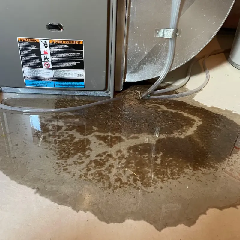 Appliance Leak Cleanup in Waldo, AR